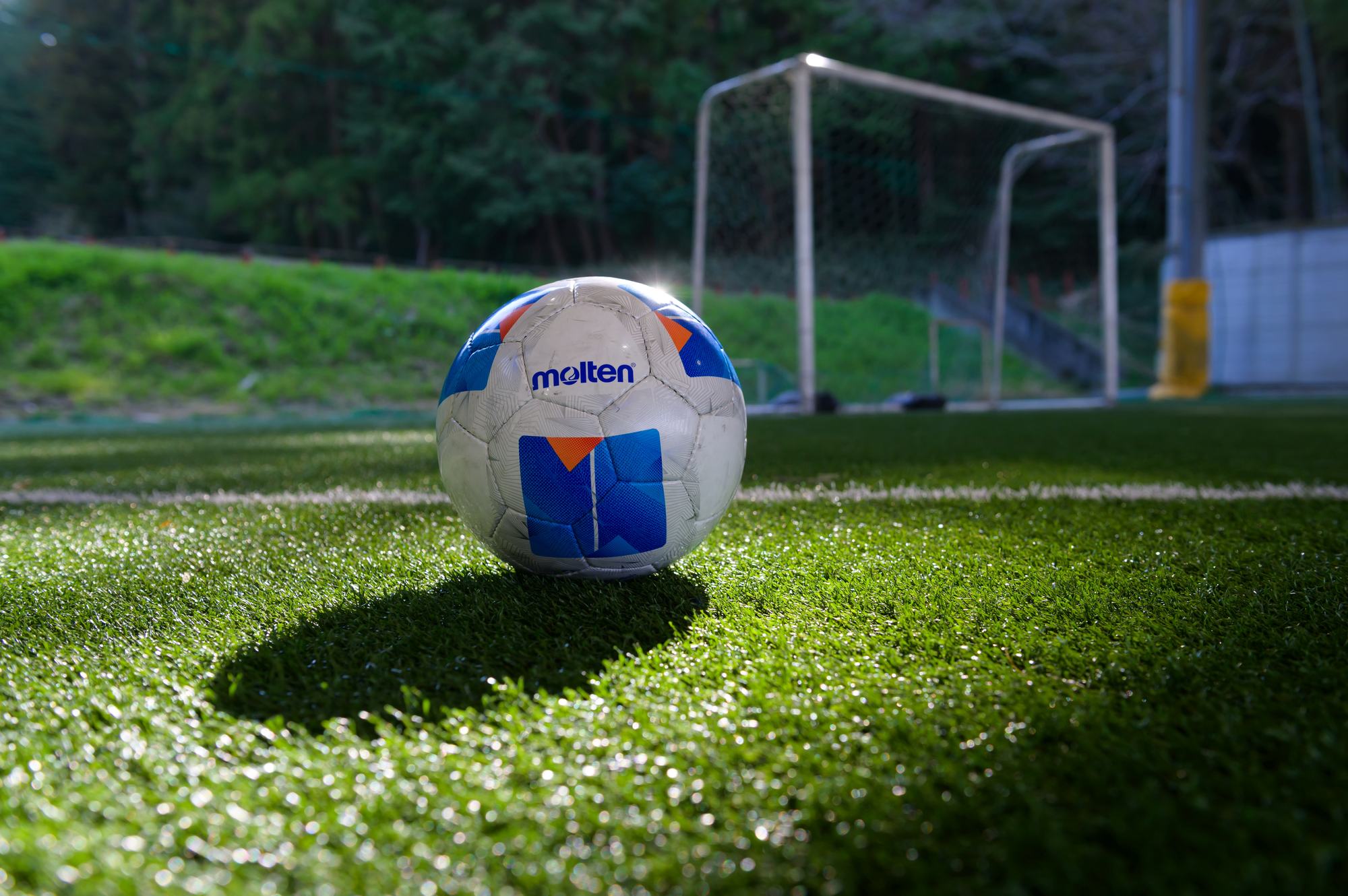 芝の上に置かれたサッカーボール
